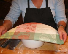 pizza dough xx13